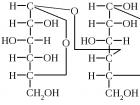 Моносахариды, дисахариды, полисахариды: углеводы в примерах