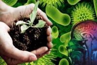 Мифы об органическом садоводстве